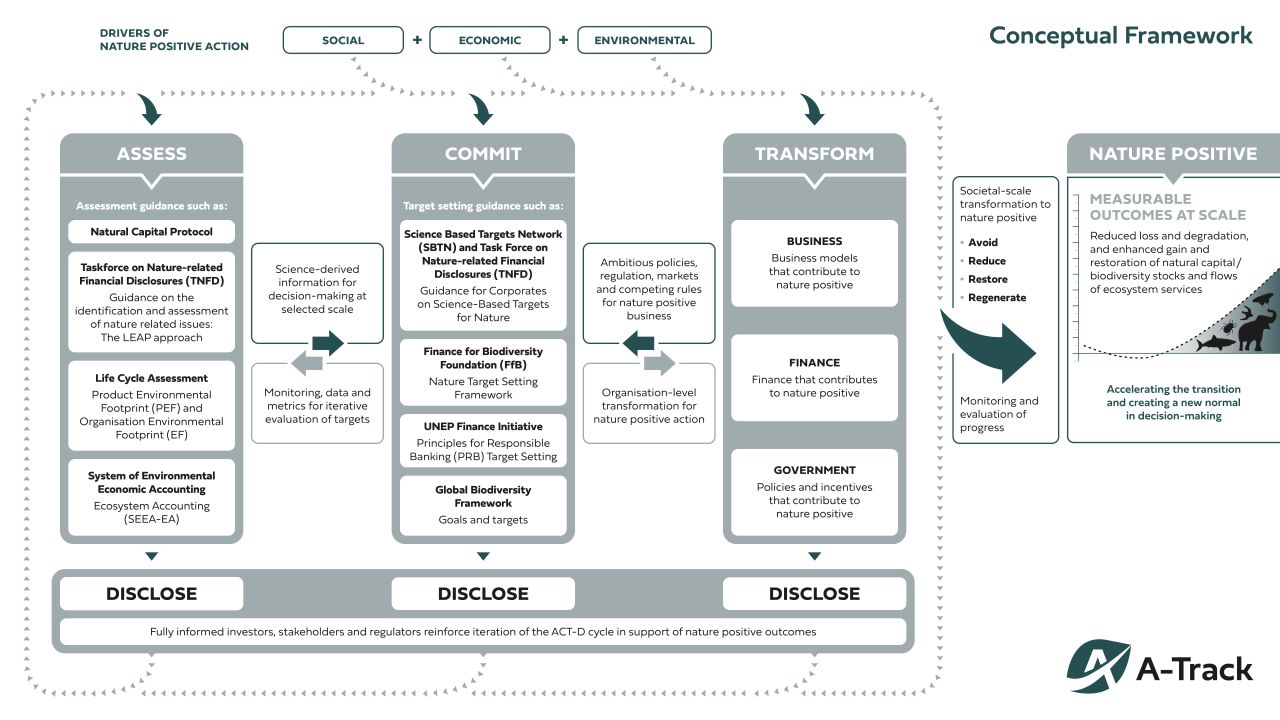 A-Track Conceptual Framework