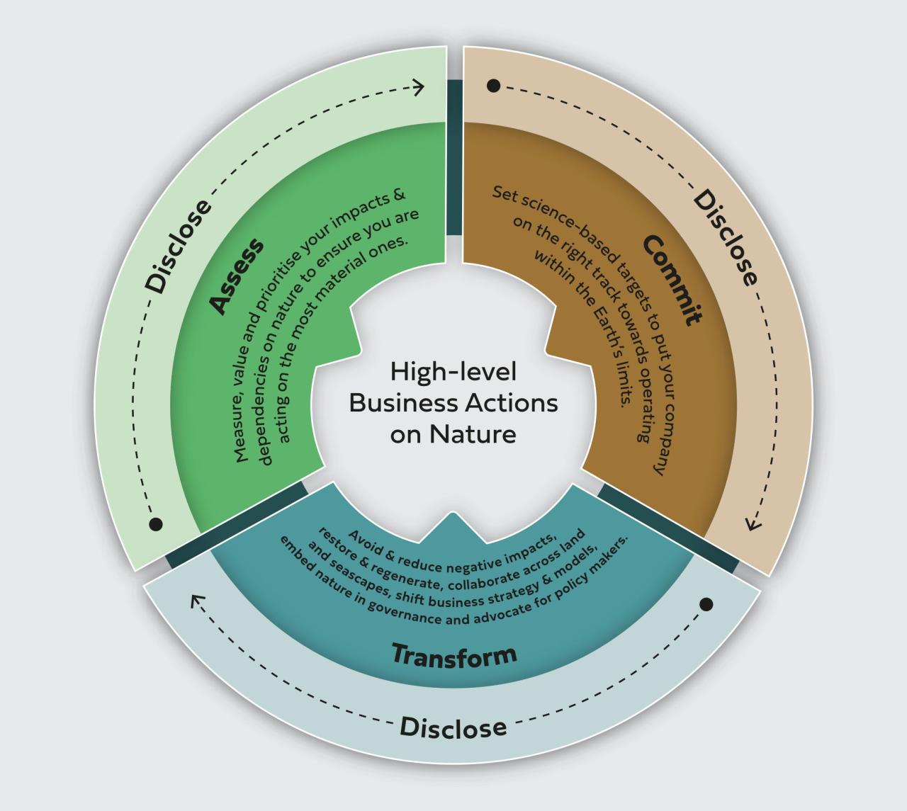 ACT-D Framework