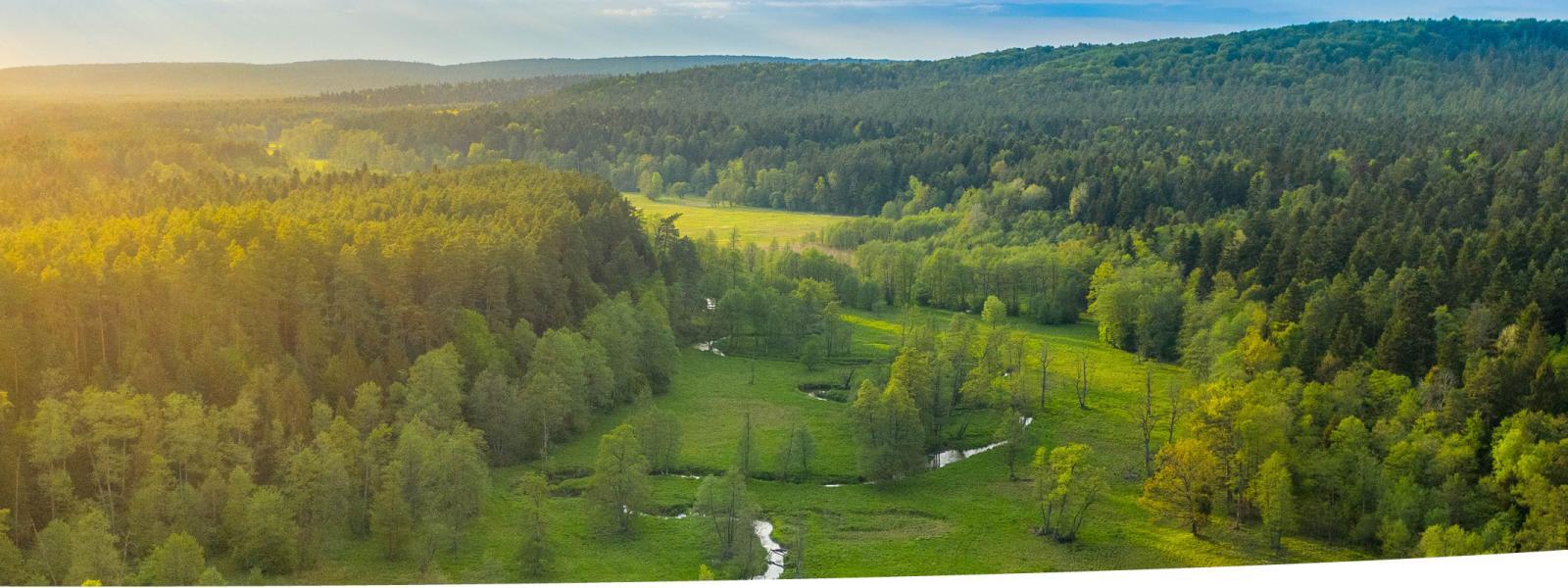Oblique aerial image over wooded landscape with a meandering river.