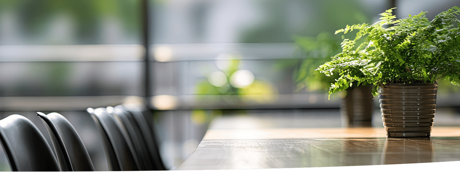 Boardroom with nature in the background and desk plant