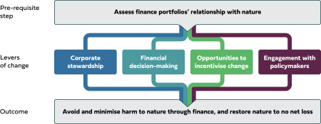 Diagram showing levers of change: corporate stewardship, financial decision making, opportunities to incentivise change, engagement with policymakers