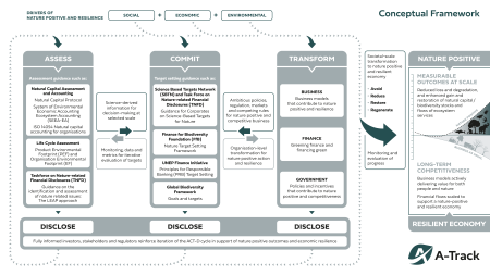 A-Track Conceptual Framework diagram