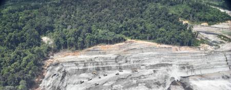 Large quarry beside a forest