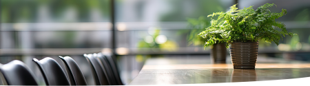 Boardroom with nature in the background and desk plant