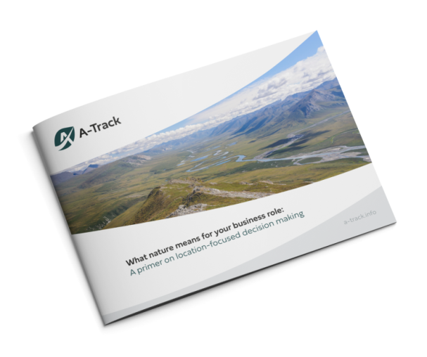 Front cover of location-focused decision making primer