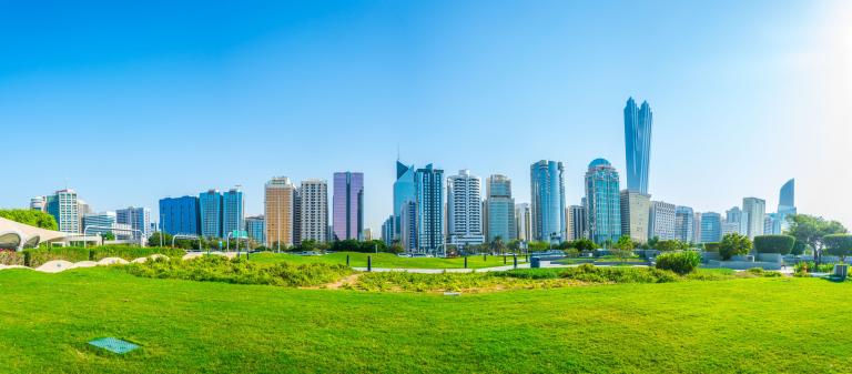 Skyline with green field in foreground 