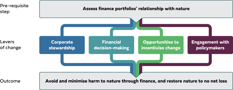 A-Track Diagram - see Scaling Finance for Nature report for explanation.