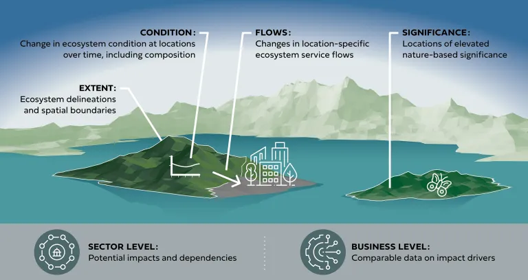 Figure 5. Information and data needs for corporate assessment and disclosure. Many of these align the ecosystem accounting structures.