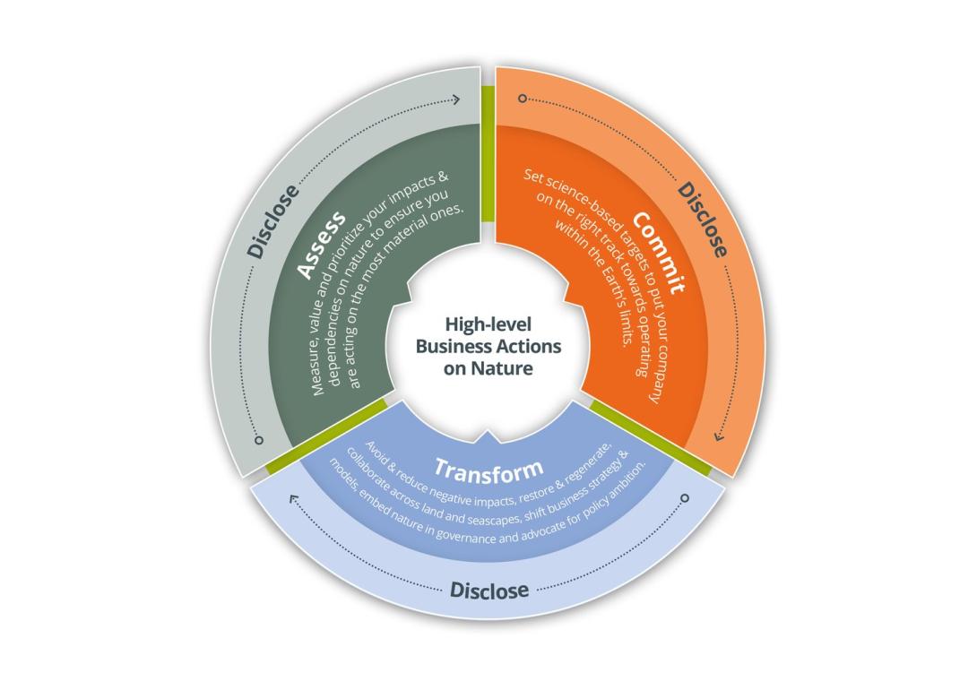 High-level Business Actions on Nature Framework