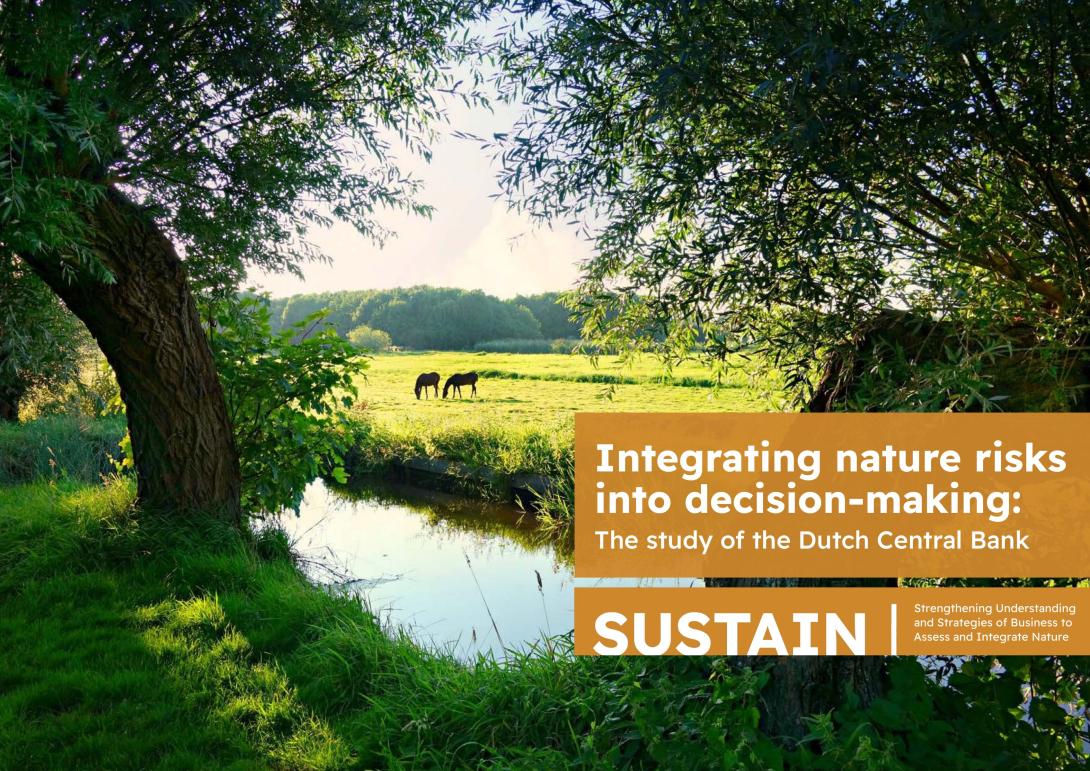 Report cover of Integrating nature risks into decision-making: The study of the Dutch Central Bank showing two horses grazing on a floodplain beside a small temperate river.