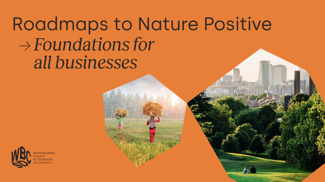 Roamaps to Nature Positive poster