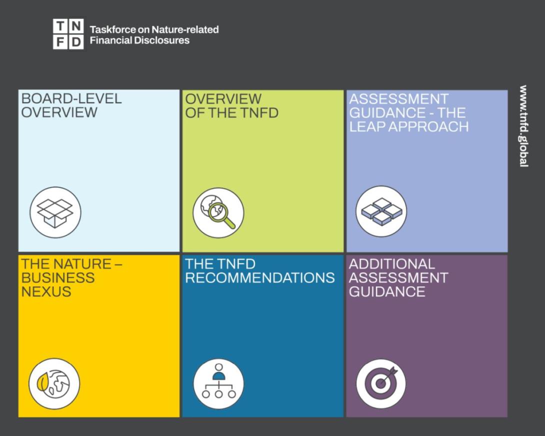 TNFD in a box overview graphic