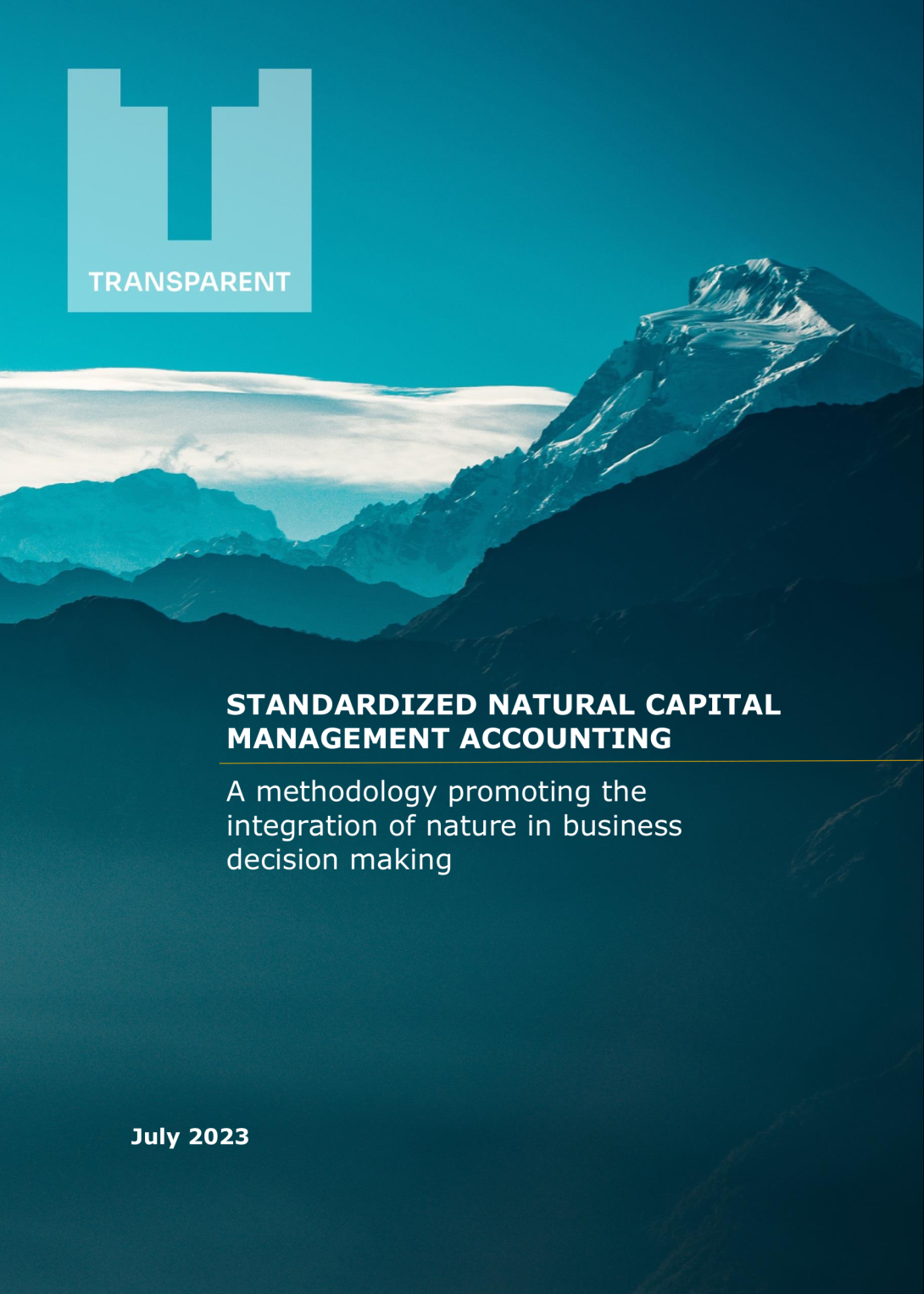 Standardized Natural Capital Management Accounting.A methodology promoting the integration of nature in business decision making front cover