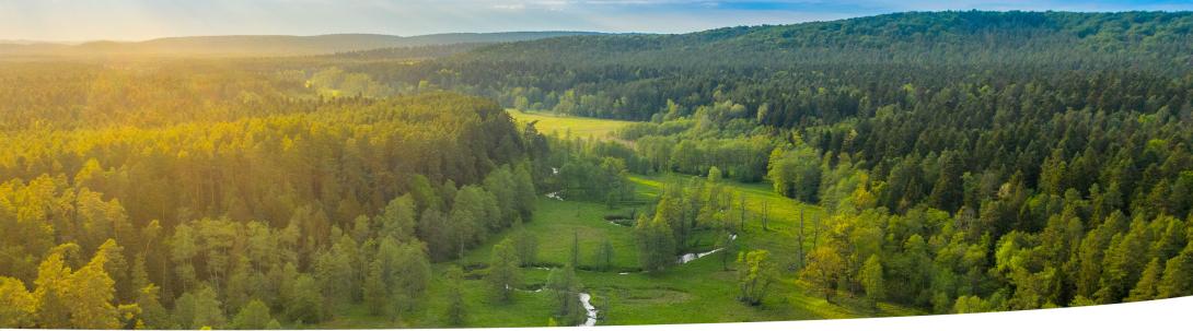 Oblique aerial image over wooded landscape with a meandering river.