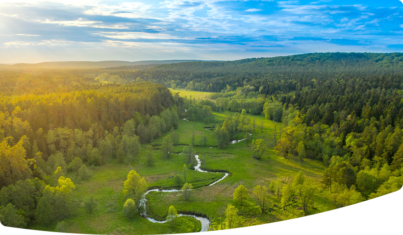 Oblique aerial image over a meandering river.