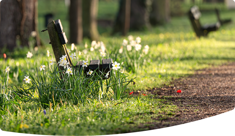 Bench beside a path in an urban park